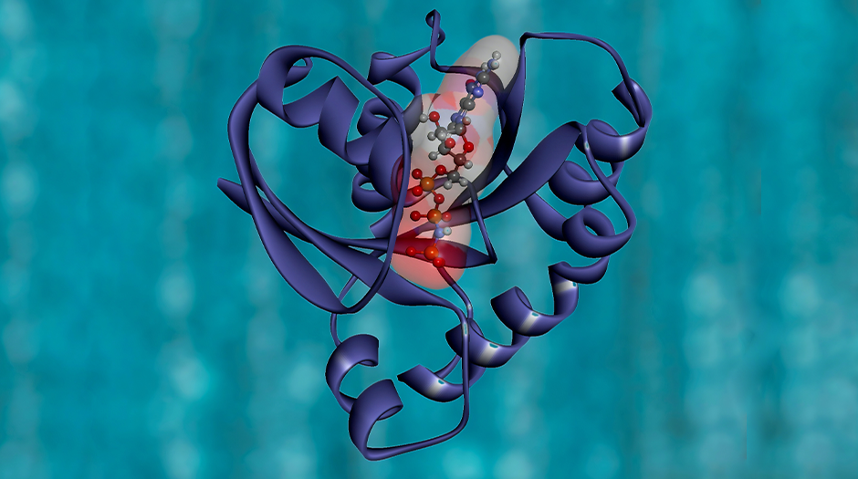 Lung Cancer and KRAS: Behind the Scenes in Research